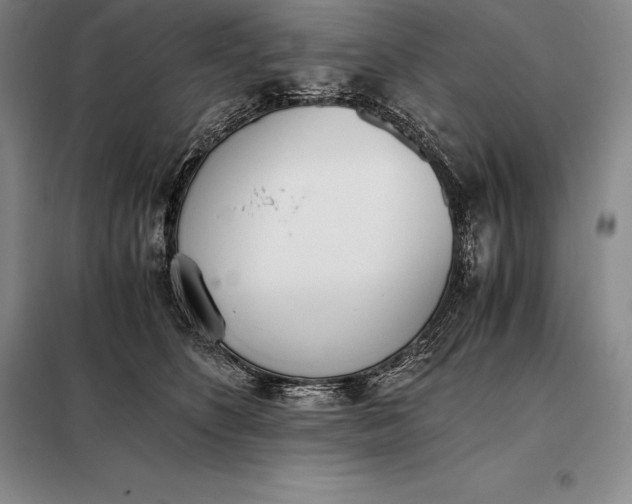 X0000098140516200805011347