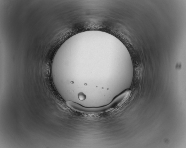 X0000098140517200805011346