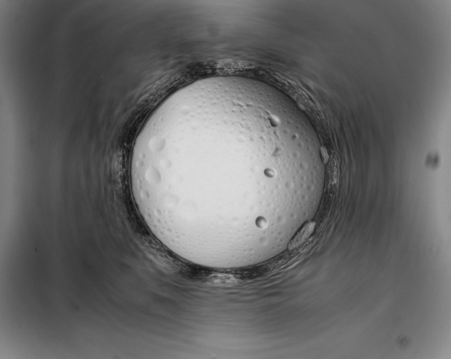 X0000098140519200805011346
