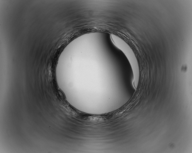 X0000098140520200805011346