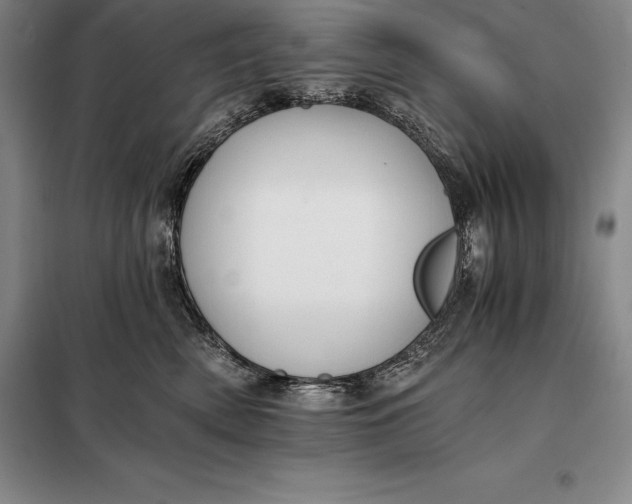 X0000098140522200805011346