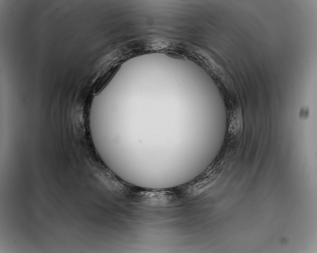X0000098140524200805011346