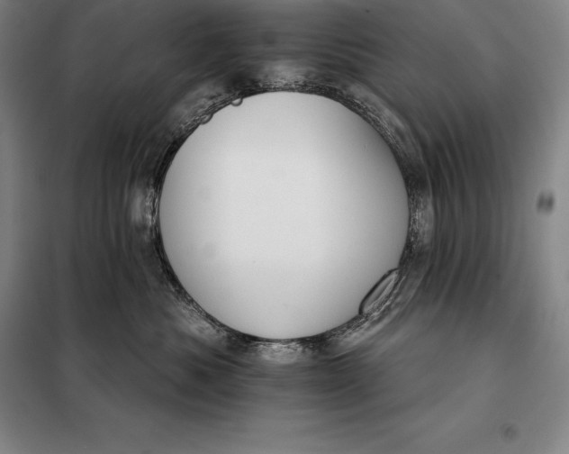 X0000098140525200805011346