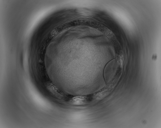 X0000098140526200805011346