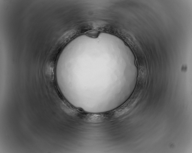 X0000098140527200805011346