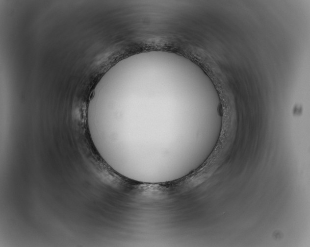 X0000098140528200805011346