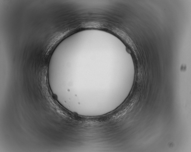 X0000098140529200805011346