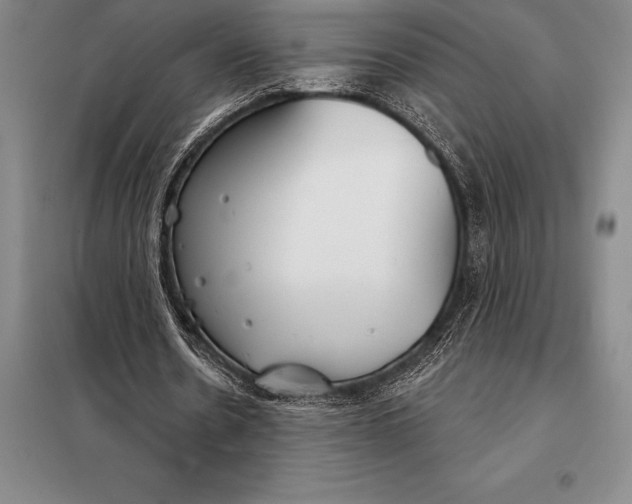 X0000098140530200805011346