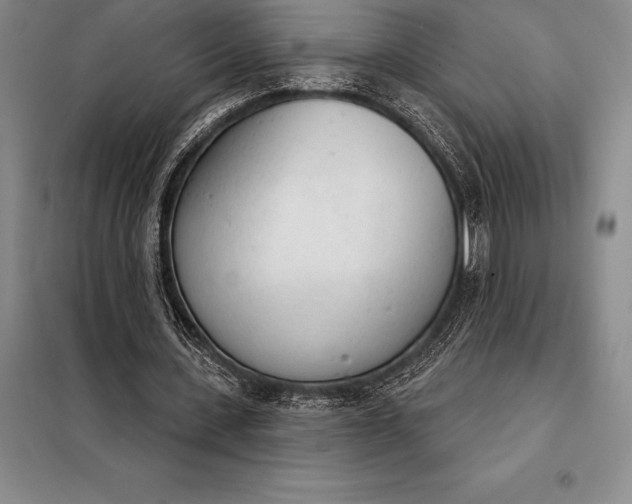 X0000098140531200805011346