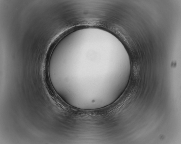 X0000098140532200805011346