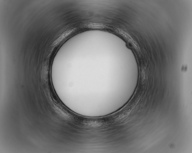 X0000098140533200805011346