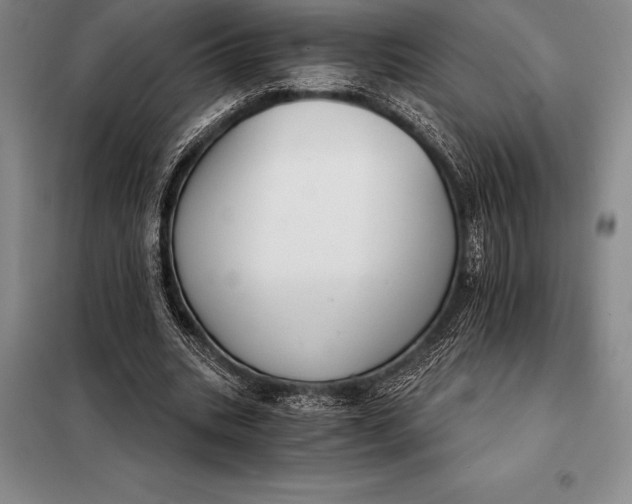 X0000098140535200805011346