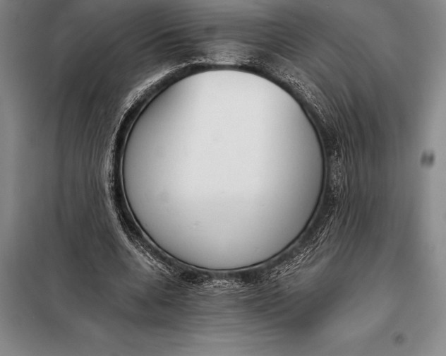 X0000098140536200805011346