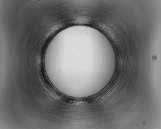X0000098140539200805011346