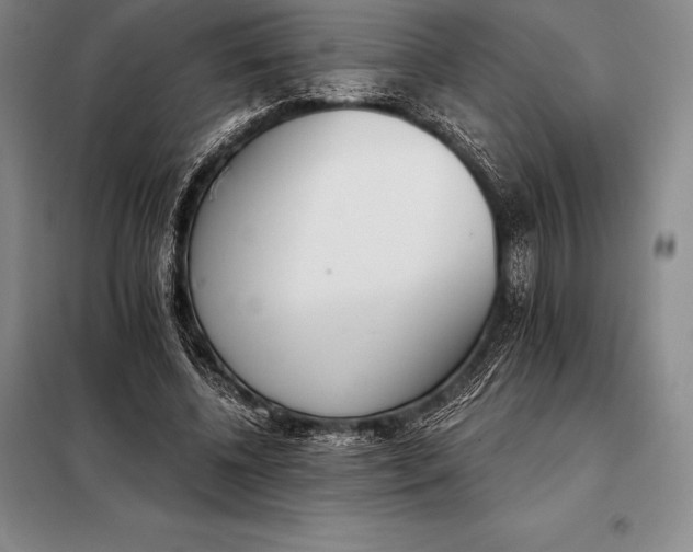 X0000098140540200805011346