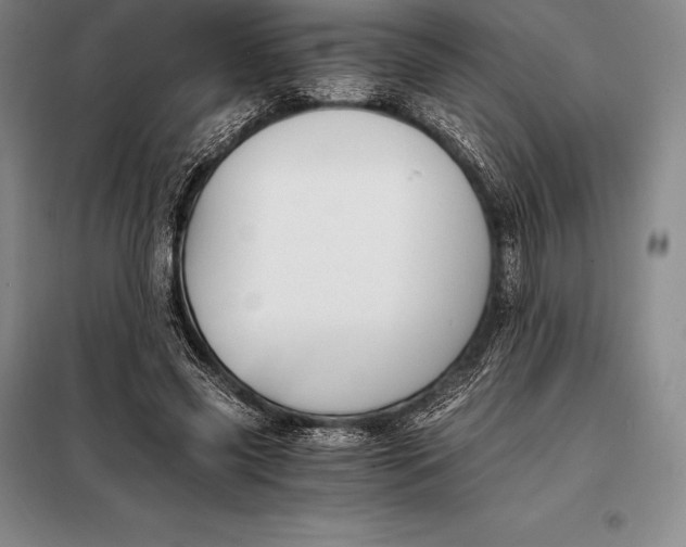 X0000098140541200805011346