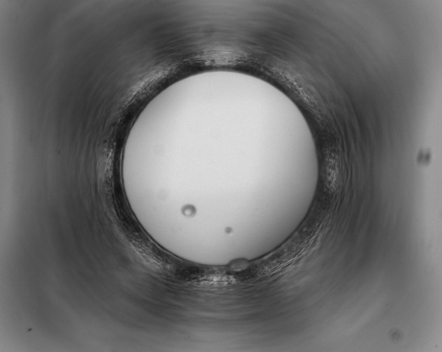 X0000098140543200805011346
