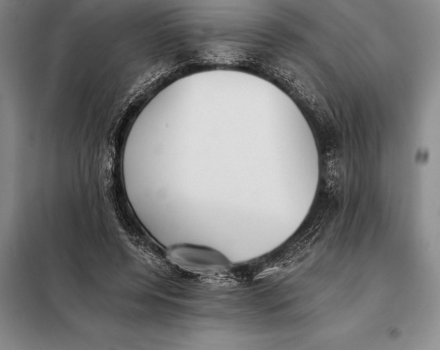 X0000098140544200805011346
