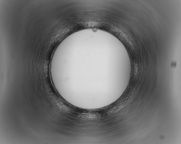 X0000098140545200805011346
