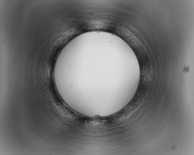 X0000098140546200805011346