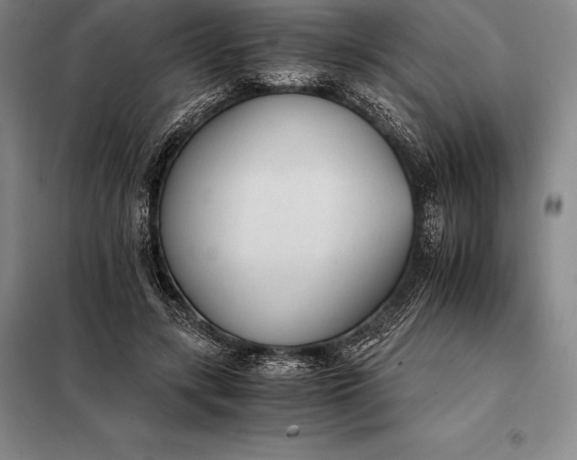 X0000098140547200805011346