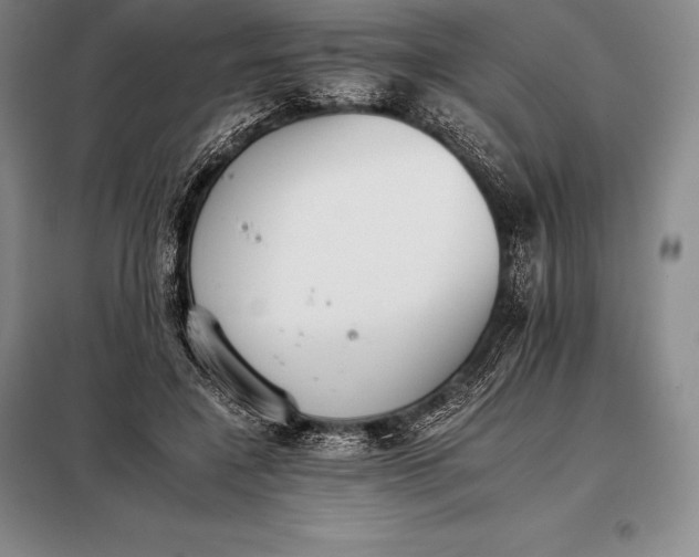 X0000098140548200805011346