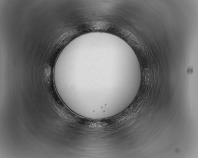 X0000098140550200805011346