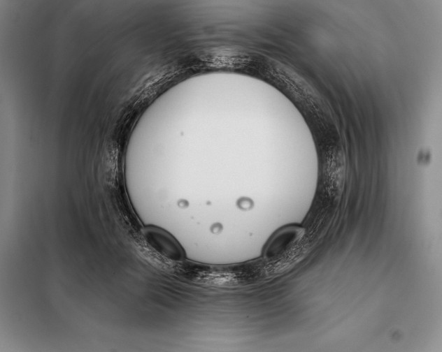 X0000098140554200805011346