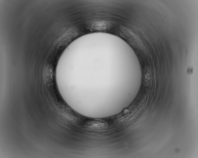 X0000098140555200805011346