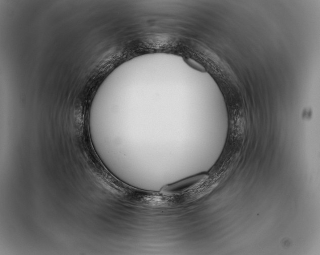 X0000098140558200805011346