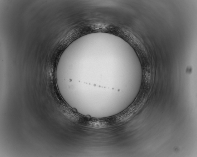 X0000098140561200805011346