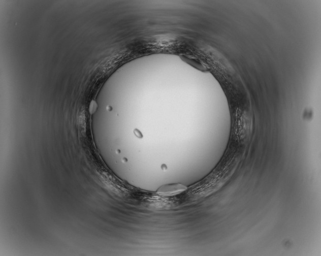 X0000098140562200805011346