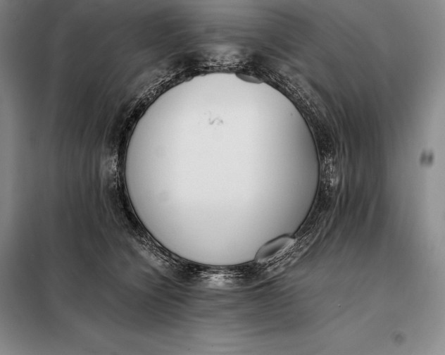 X0000098140564200805011346