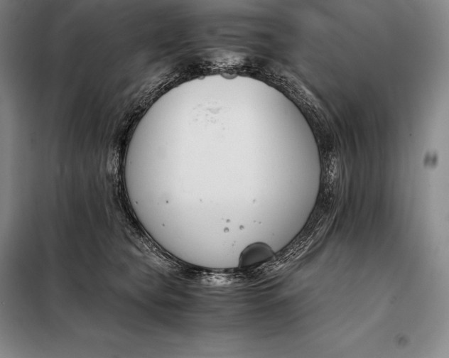 X0000098140565200805011346