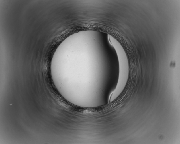 X0000098140566200805011346