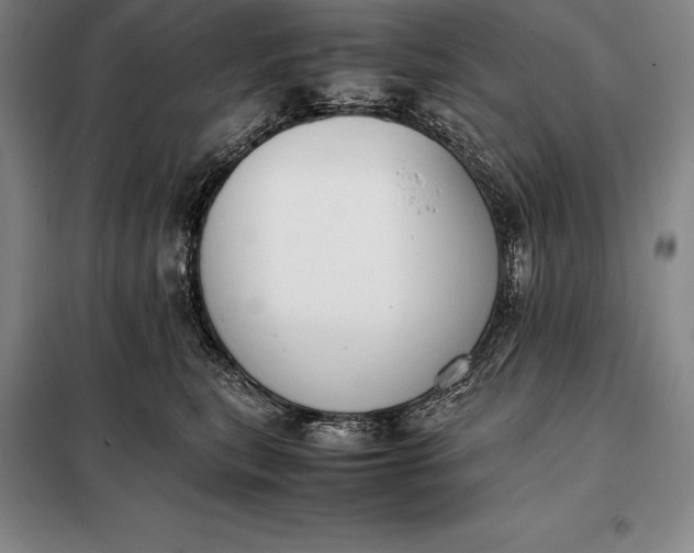 X0000098140567200805011346