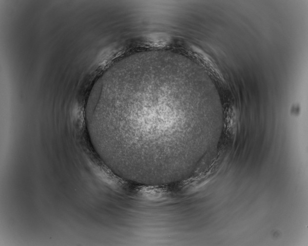 X0000098140568200805011346