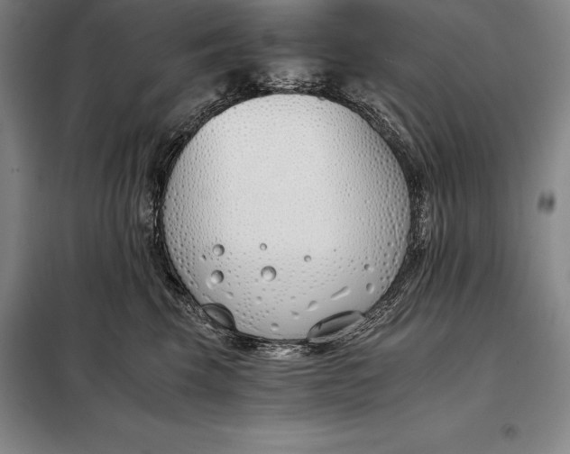 X0000098140569200805011346