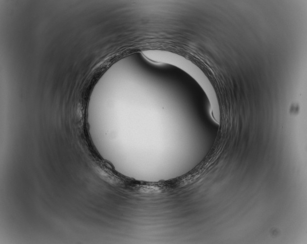 X0000098140572200805011346