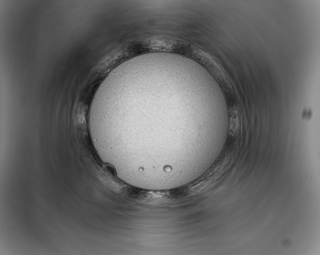 X0000098140573200805011346