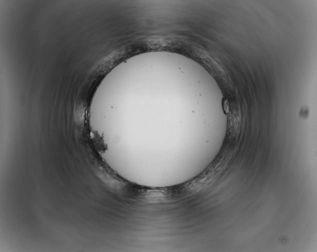 X0000098140574200805011346