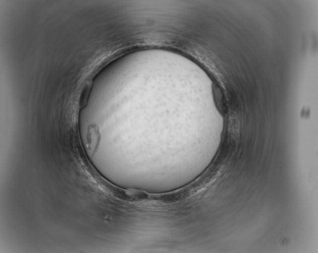 X0000098140577200805011346