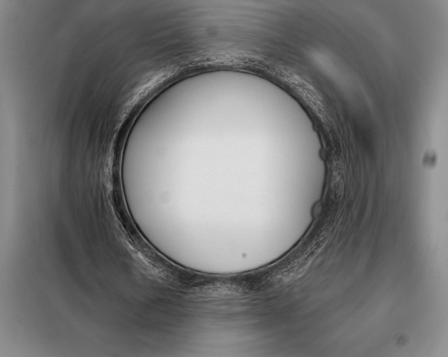 X0000098140578200805011346