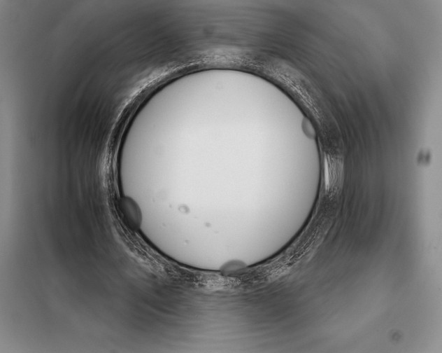 X0000098140579200805011346