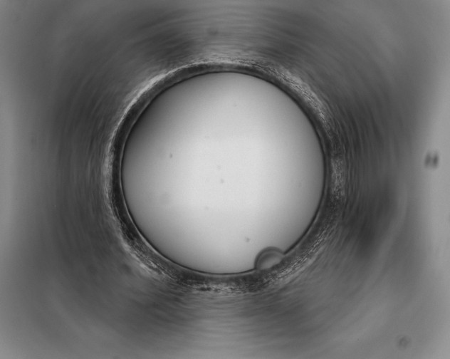X0000098140580200805011346