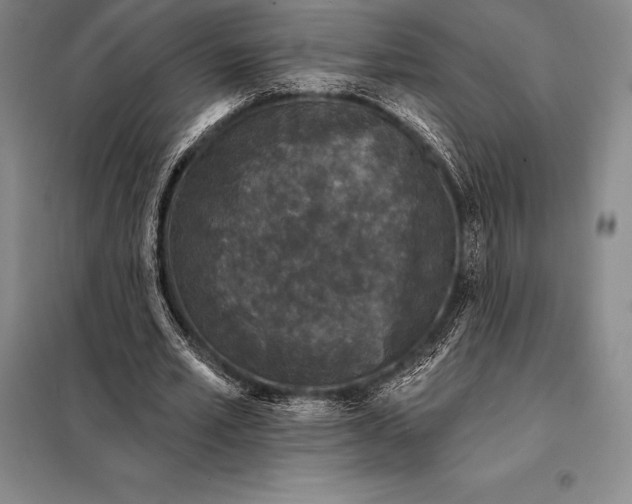 X0000098140581200805011346