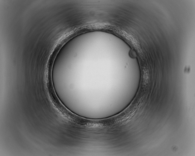 X0000098140582200805011346