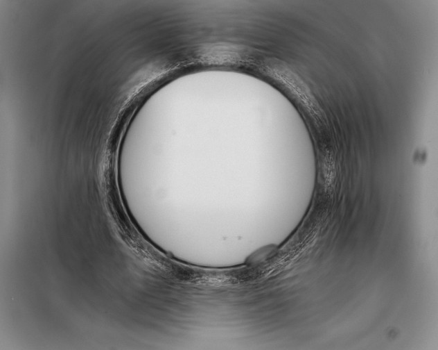 X0000098140583200805011346