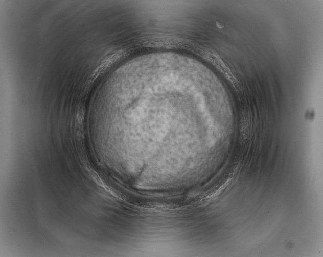 X0000098140585200805011346