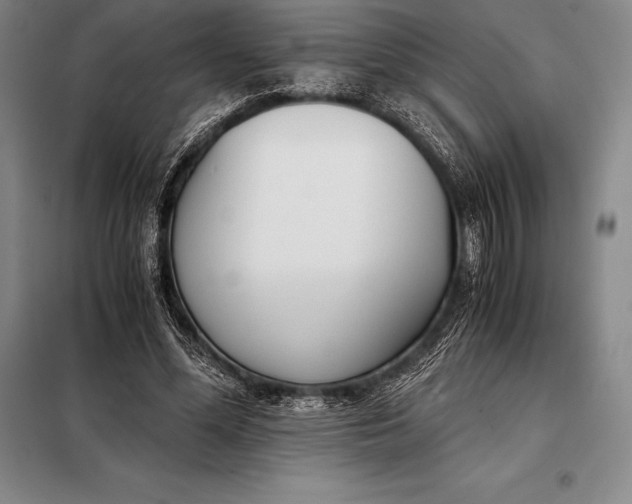 X0000098140588200805011345